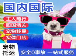 百色巴马机场托运国际宠物托运 【国
